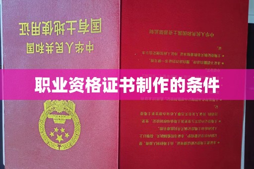 沂南职业资格证书制作的条件
